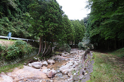 かぶとの森2_川沿い_0763.JPG