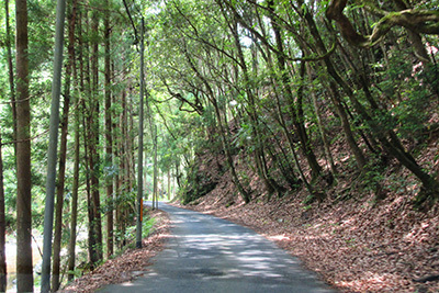 やすらぎの村1_行き道3062.JPG