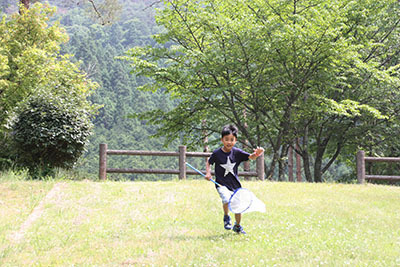 やすらぎ村2日目_虫取り8385.JPG
