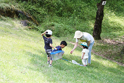 やすらぎ村2日目_虫取り8386.JPG