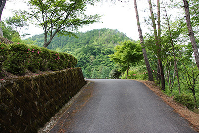 やすらぎ村3_坂道5969.JPG