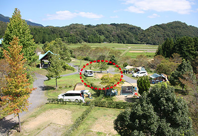 やぶっちゃ_Bサイト_橋の上から_2782.JPG