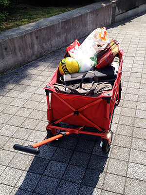 アウトドアワゴン_公園_4721.JPG