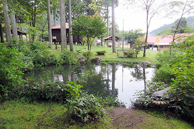 ウッディパル2_3691_池.JPG