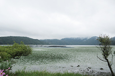 ウッディパル2_3696_余呉湖.JPG
