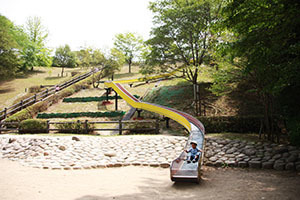 トリム園地_0247.JPG