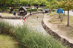 トリム園地_0296.JPG