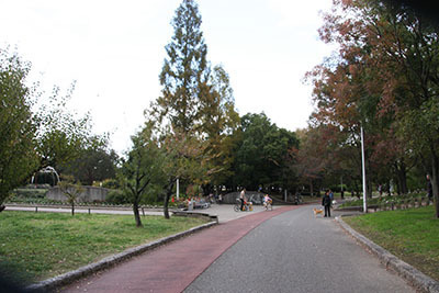 久宝寺緑地_BBQ広場_4016.JPG