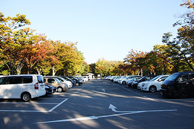 久宝寺緑地_第3駐車場_4125.JPG