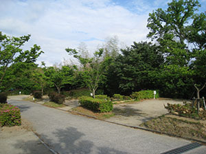 五色IMG_5846サイト.JPG