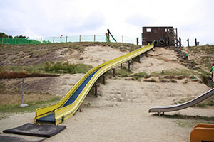 五色IMG_9981.JPG