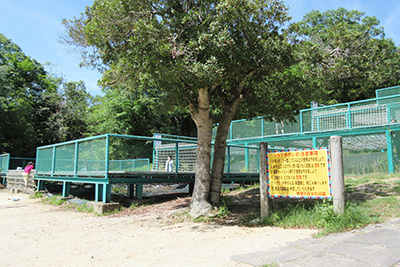 公園_トランポリン_5297.JPG