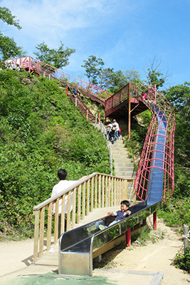 公園_滑り台_5302.JPG