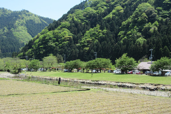南光自然観察村_2914.JPG