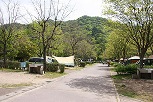 日時計の丘公園_サイトDE.JPG