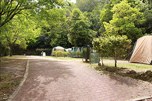 日時計の丘公園_森よこサイト.JPG