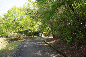 日時計の丘公園_森よこサイトへの坂.JPG