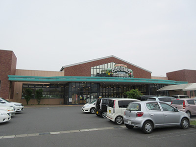 森のひととき1_COCOMO_2966.JPG