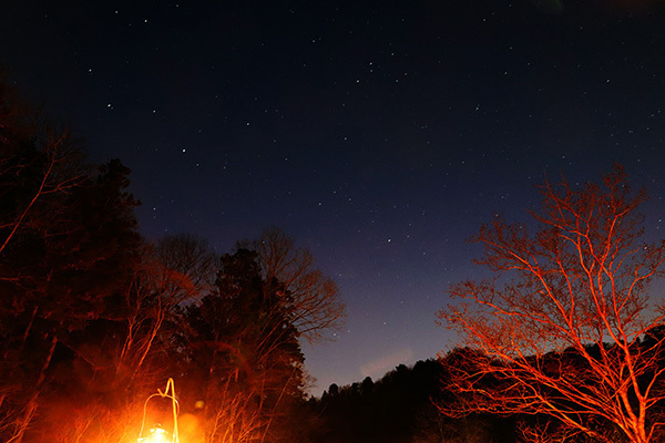 渓谷の森2日目_夜の星空_5247.jpeg