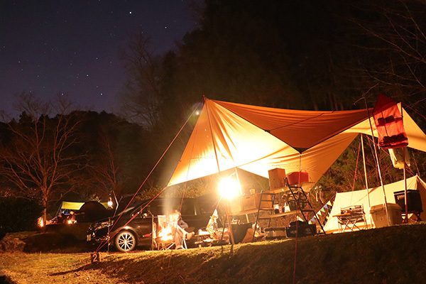 渓谷の森2日目_夜の星空_5252_600.jpeg