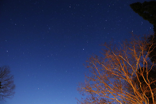 渓谷の森2日目_夜の星空_5258.jpeg
