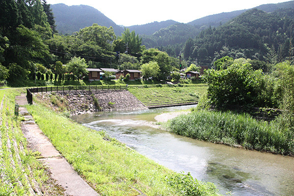 細野渓流1_TOP_6356_600.JPG