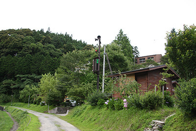 細野渓流2_電光掲示_6290.JPG
