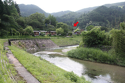 細野渓流2_電光掲示_サイトから_6347.JPG